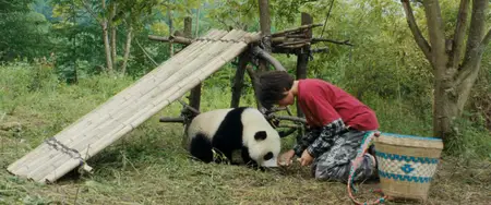 Moon le panda (2025)