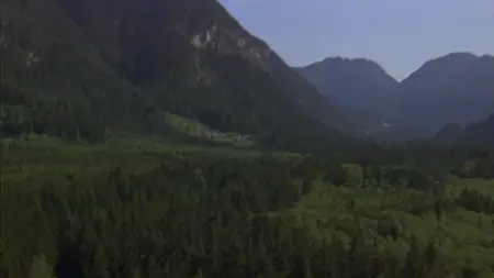 This Boy's Life (1993)