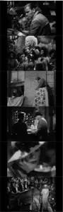 Blonde Venus (1932) [The Criterion Collection]