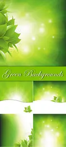 Green Backgrounds with Leaves Vector