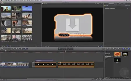 Motion 5: Rigging & Publishing Titles, Transitions, Effects & Generators for Final Cut Pro X [repost]
