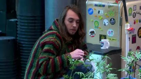 Disjointed S01E01