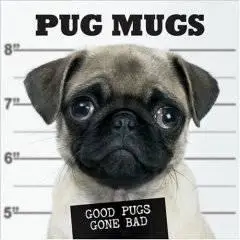 PUG DOG Screensaver  