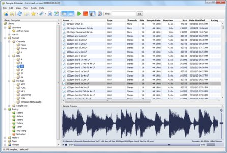 RYAudio Sample Librarian v1.4.0 WiN