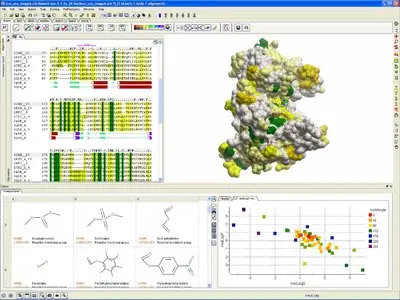 Molsoft ICM-Pro 3.8-3 (Win/Mac/Lnx)