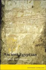 Ancient Egyptian: A Linguistic Introduction