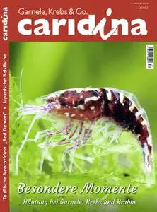 Caridina - Nr.2 2022