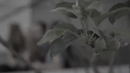 Twisted Sisters S02E02