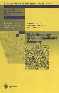 Cyclic Homology in Non-Commutative Geometry
