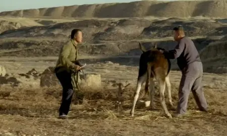 Night And Day (2004)