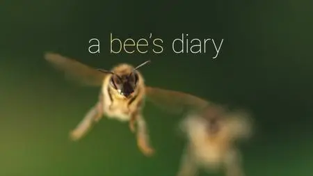 CBC - The Nature of Thing: A Bee's Diary (2020)