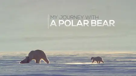 My Journey with a Polar Bear (2019)