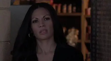 Urban Justice (2007) DVDRip