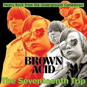 VA - Brown Acid "The Seventeenth Trip" (2023)