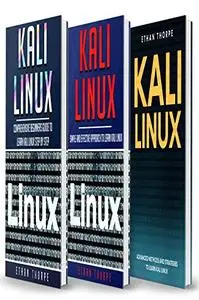Kali Linux: 3 in 1: Beginners Guide, Simple and Effective Strategies, Advance Method and Strategies to learn Kali Linux