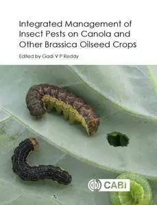 Integrated Management of Insect Pests on Canola and Other Brassica Oilseed Crops