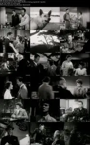 The Second Woman (1950)