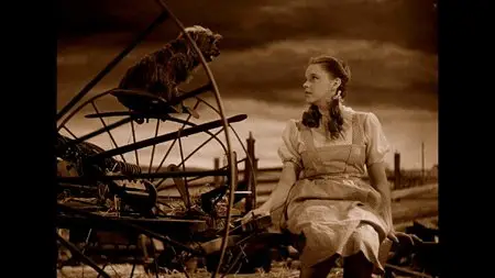 The Wizard of Oz - 70th Anniversary Ultimate Collector's Edition (1939) [RE-UP]