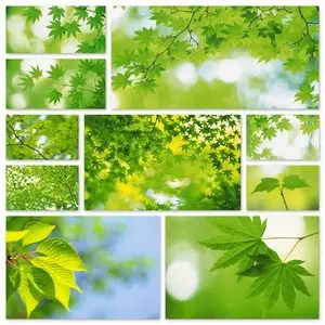 Green Leafs Wallpapers Pack #1