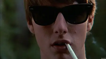 Risky Business / Risky Business - Lockere Geschäfte [DVD5] (1983)