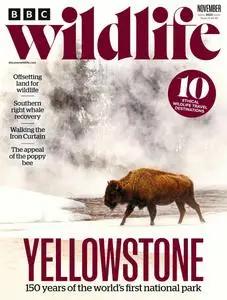 BBC Wildlife Magazine – October 2022