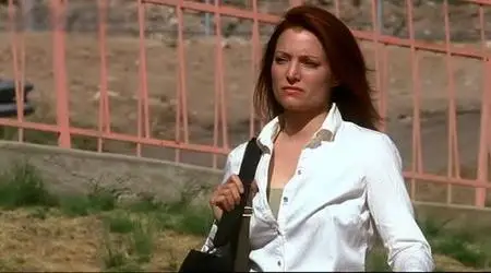 Alien Invasion Arizona (2006)