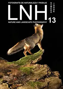 LNH #13 - June-July 2013