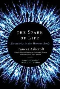 The Spark of Life: Electricity in the Human Body [Repost]