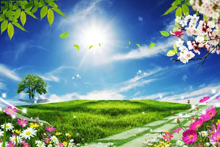 PSD templates - Nature 23
