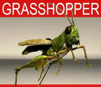 Grasshopper 3d 2009 - Video Lessons