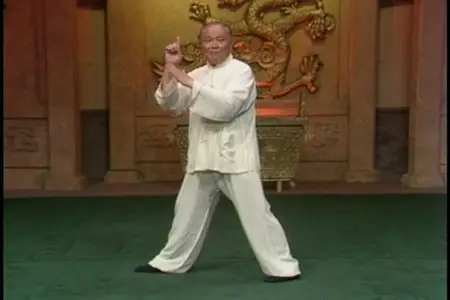 Tai Chi Yang Chen-Fu Form - Taught by Yang Zheng Duo