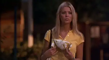 American Party - Van Wilder Relations Publiques (2004)
