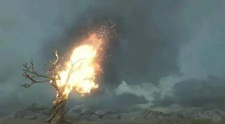 Simulating a Burning Tree in Maya (2016)