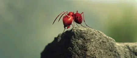 Minuscule - La vallée des fourmis perdues (2013)