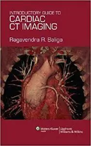 Introductory Guide to Cardiac CT Imaging [Repost]