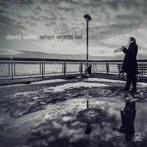 David Weiss - When Words Fail (2014)