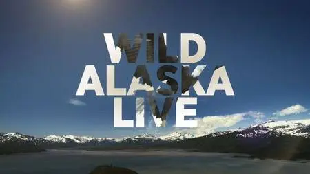 BBC - Wild Alaska Live 2017 (2017)