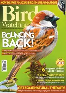 Bird Watching UK - July 2020