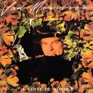 Van Morrison - A Sense of Wonder (Remastered) (1985/2020) [Official Digital Download 24/96]