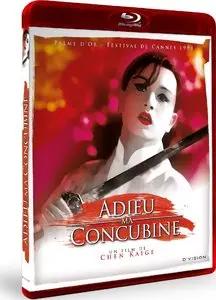 Farewell My Concubine (1993)
