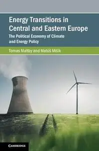 Energy Transitions in Central and Eastern Europe: The Political Economy of Climate and Energy Policy