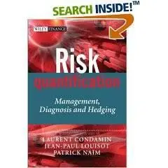 Risk Quantification: Management, Diagnosis and Hedging