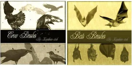 Bats and Crow brushes for Photoshop