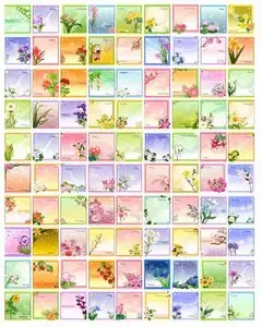 Vector Floral Frames 90 AI files