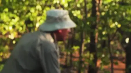 Extinct or Alive S02E03