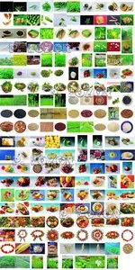 Image Making BC001-004 Fruit and Vegetable