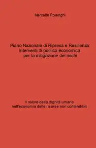 Piano Nazionale di Ripresa e Resilienza: interventi di politica economica per la mitigazione dei rischi