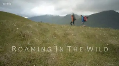 BBC - Roaming in the Wild: Rock, Loch, River, Coast (2019)