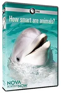 NOVA scienceNOW S05E04 How Smart are Animals? (2011)
