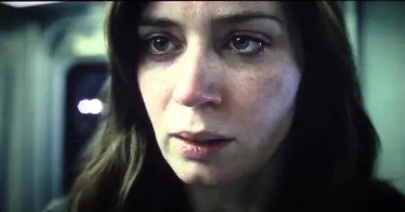 The Girl on the Train (2016)